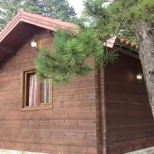  Appartamento Iliria Tiny House Llogora